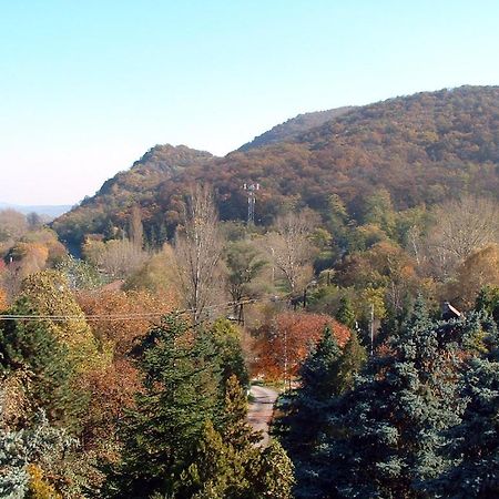 艾斯特根Vadregeny Panzio住宿加早餐旅馆 外观 照片
