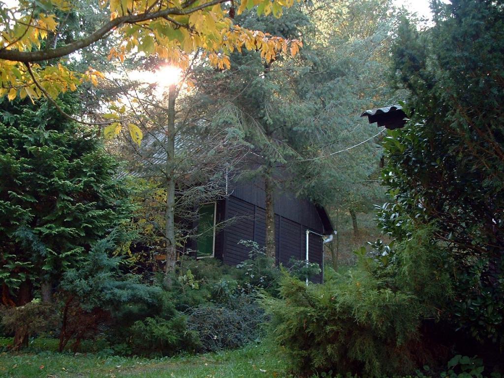 艾斯特根Vadregeny Panzio住宿加早餐旅馆 客房 照片