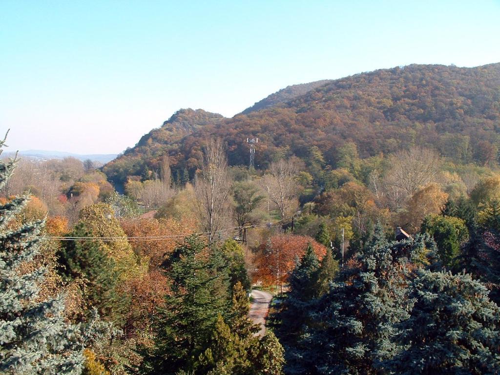 艾斯特根Vadregeny Panzio住宿加早餐旅馆 外观 照片