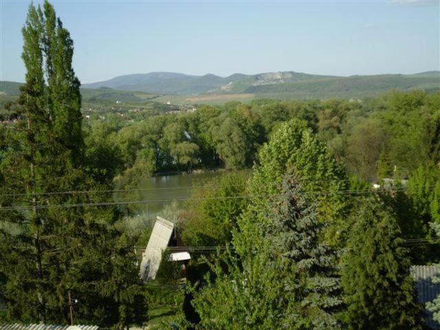 艾斯特根Vadregeny Panzio住宿加早餐旅馆 外观 照片