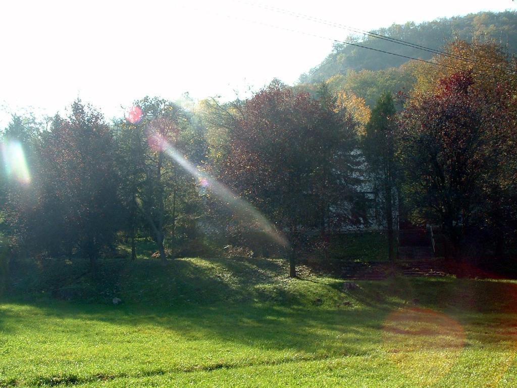 艾斯特根Vadregeny Panzio住宿加早餐旅馆 外观 照片